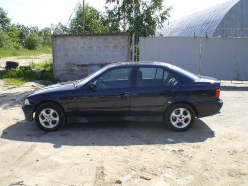 BMW 318i: 5 фото