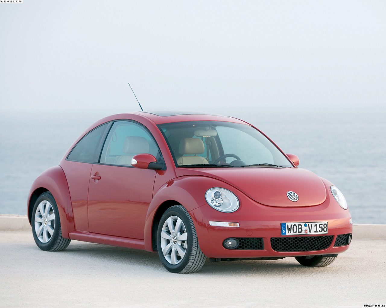 Volkswagen New Beetle: 04 фото